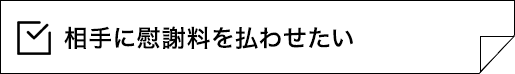 相手に慰謝料を払わせたい