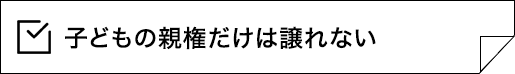 子どもの親権だけは譲れない